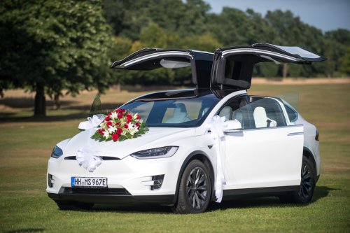 Tesla Blumengesteck 2