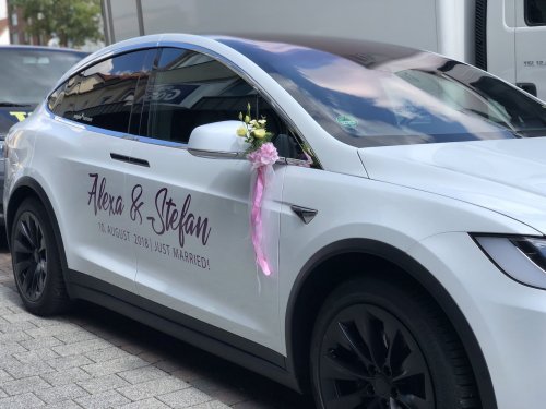 Tesla Blume 00001