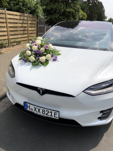 Tesla Blume 00002