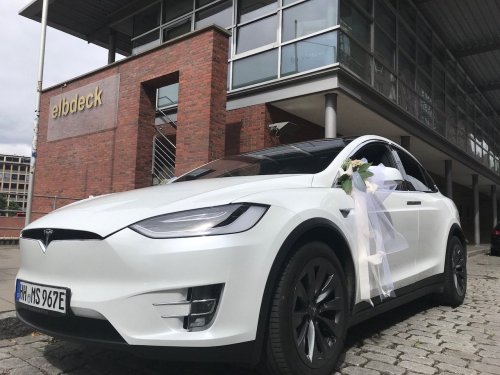 Tesla Blume 00004