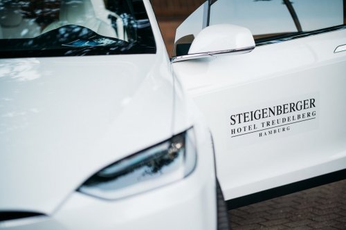 Tesla Ihr Logo 2